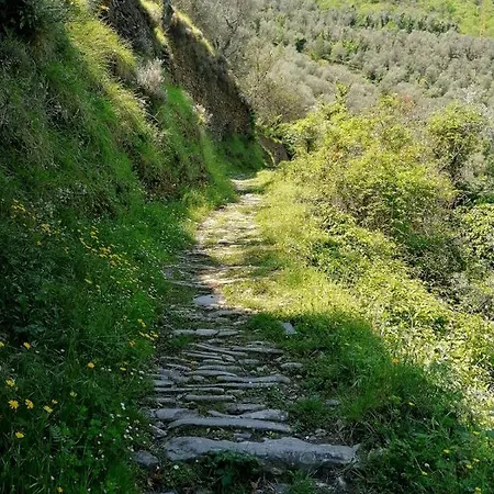 Casa Baciccia דירה בדלוקו